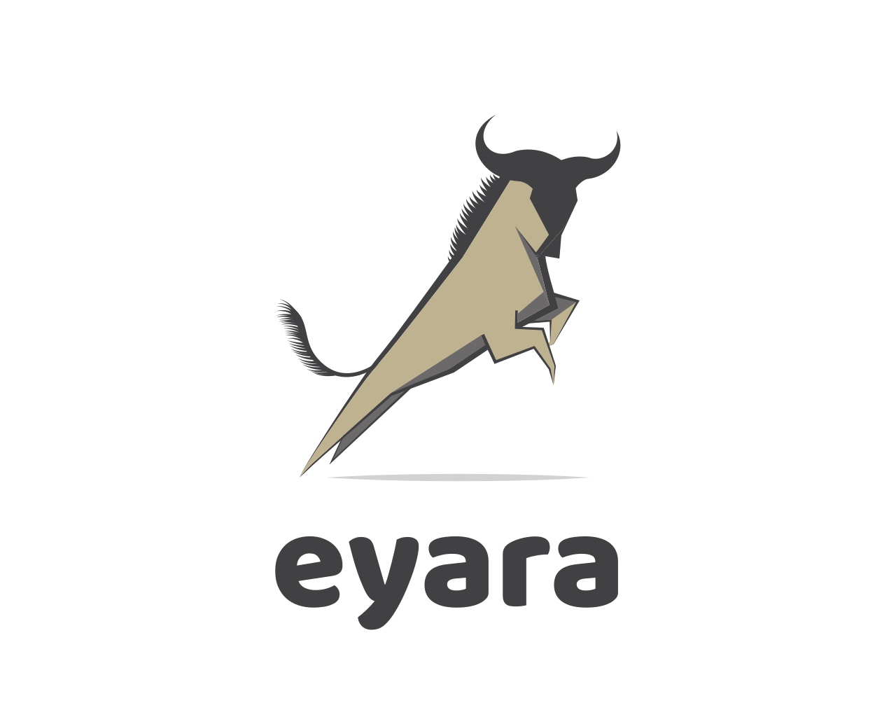 Eyara Store